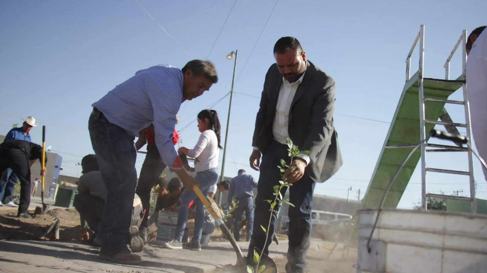 16 INICIAN PROGRAMA DE REFORESTACIÓN EN PASEOS PÚBLICOS EN FIM2